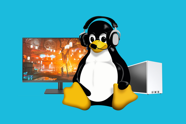 Linux Gaming: 5 Distros que vão te surpreender em 2024
