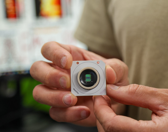 REVELADO: Cérebro humano já vem com 'manual' de fábrica