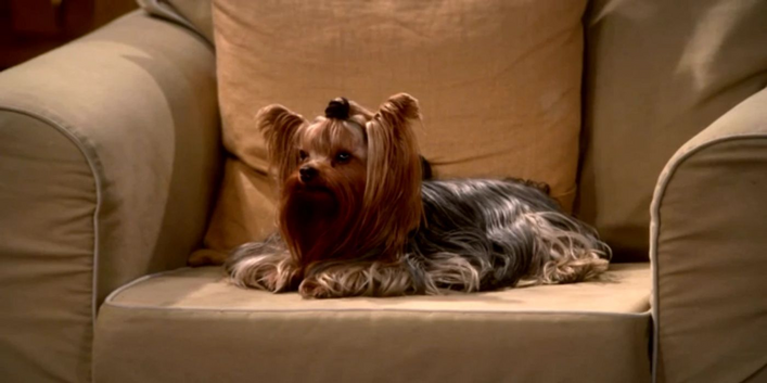 The Big Bang Theory: 7 piadas que NUNCA perdem a graça
