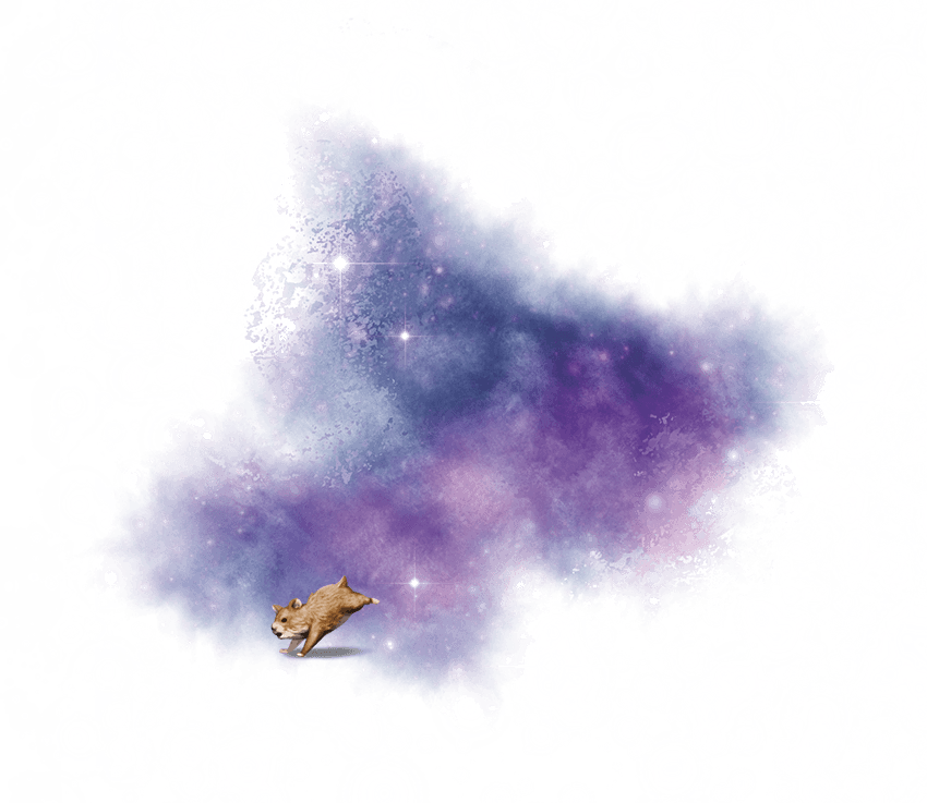 Ilustração oficial de um hamster espacial de Spelljammer